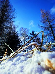 Free stock photo of sky, snow, sun photo