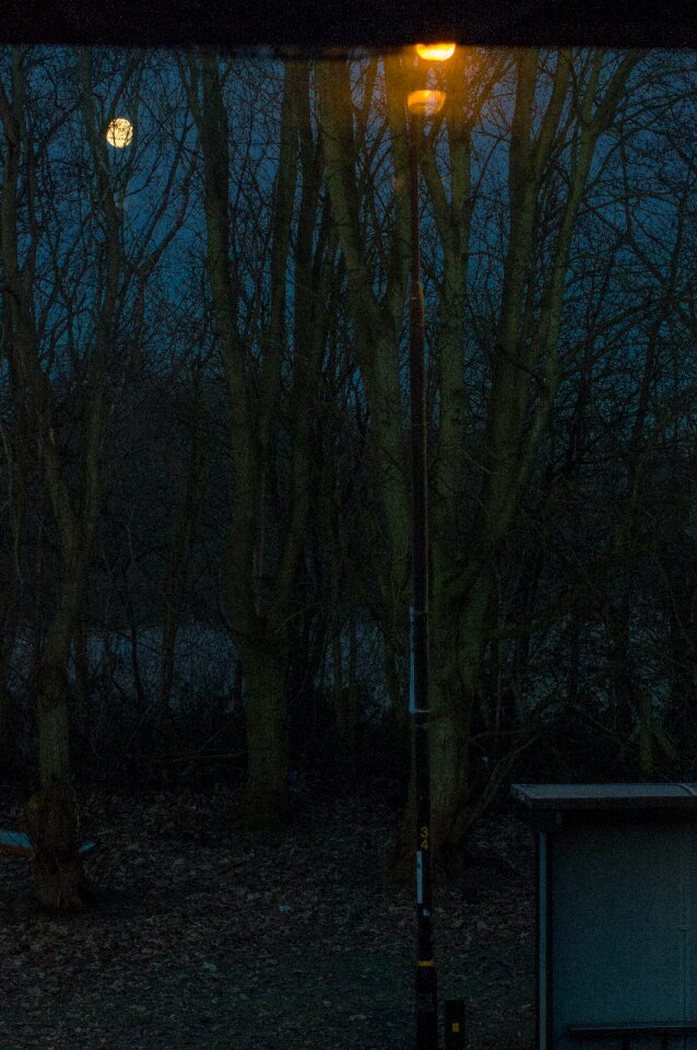 Free stock photo of cold, moon, winter