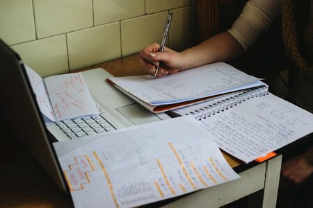 Free stock photo of exam, katie, study photo