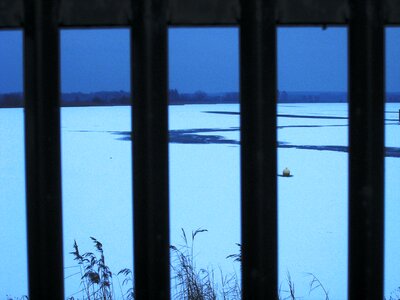 Free stock photo of fence, frozen, winter photo