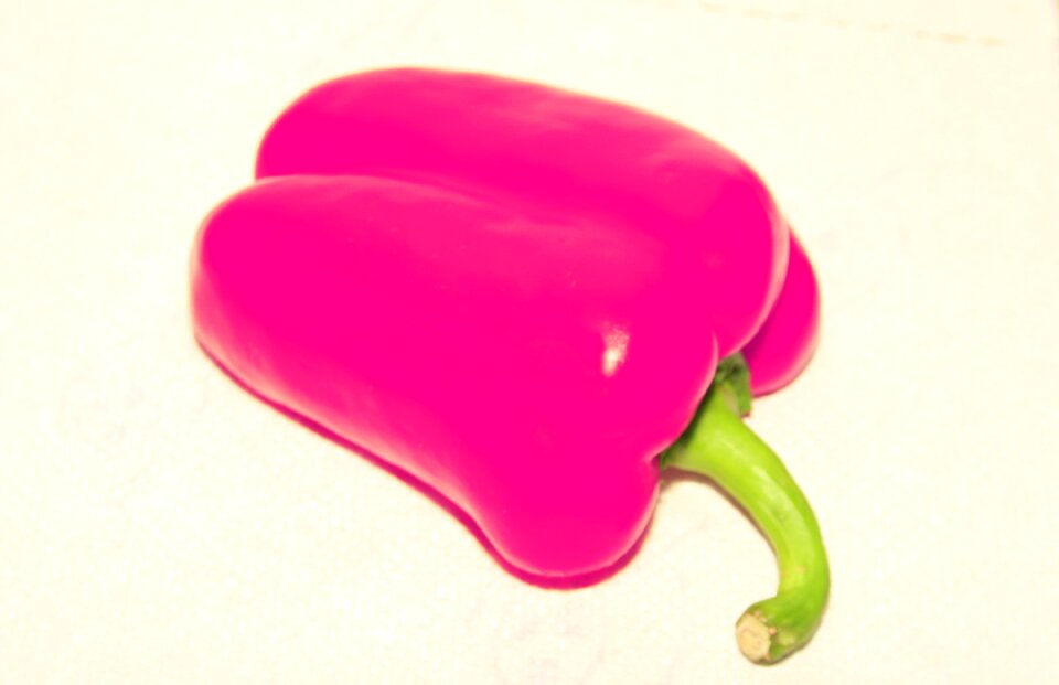Free stock photo from Tookapic