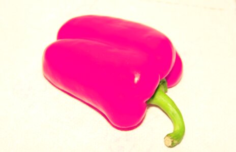 Free stock photo from Tookapic