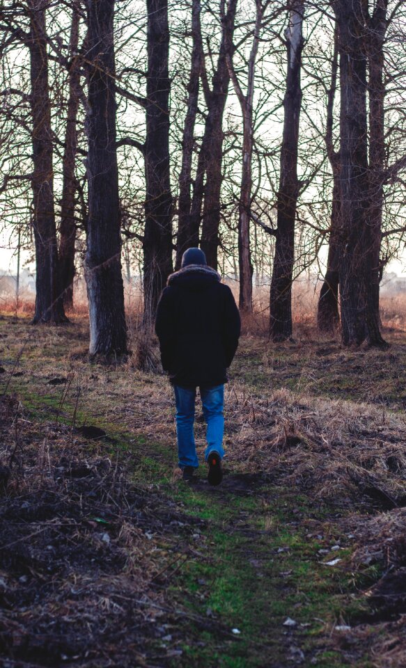Free stock photo of back view, dawn, daylight