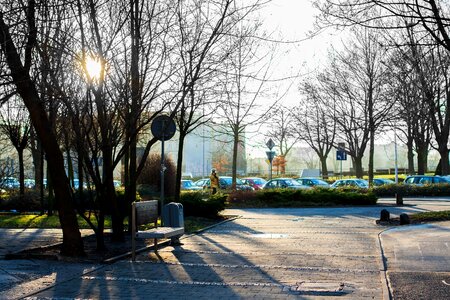 Free stock photo of bench, shadow, sun photo