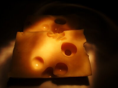 Free stock photo of cheese, mouse, mousetrap photo