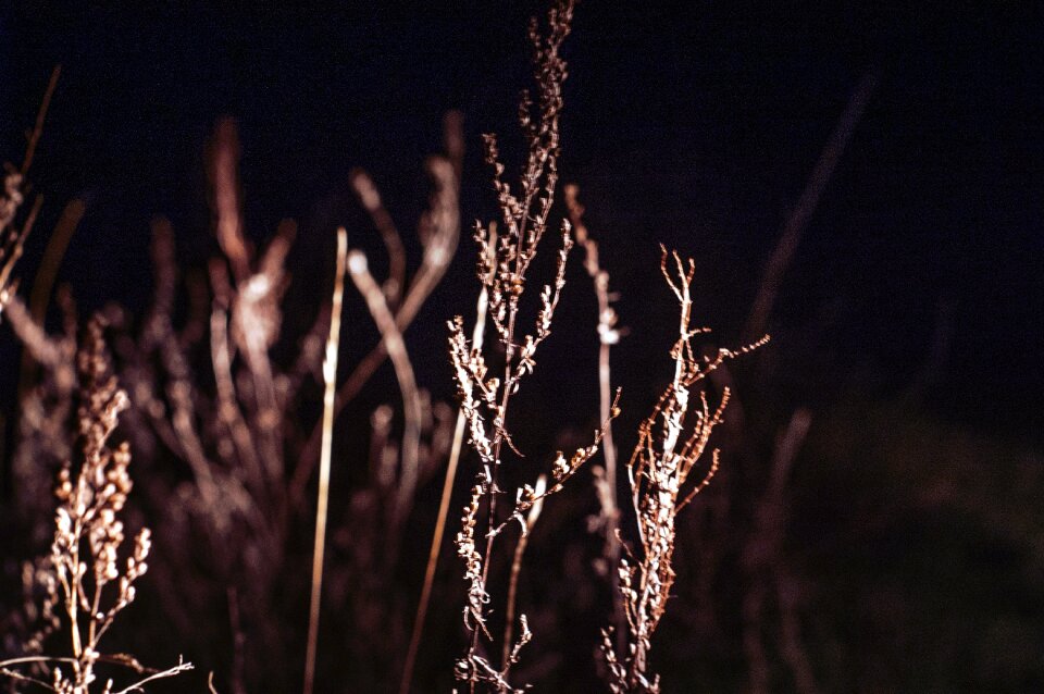 Free stock photo of night