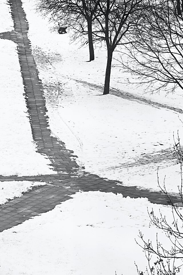 Free stock photo of pavement, snow, winter