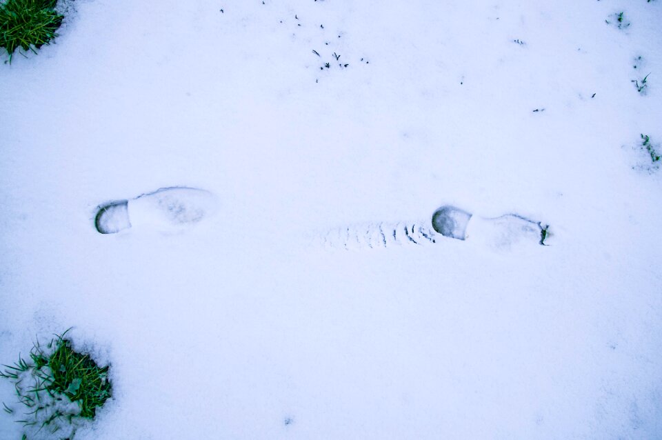 Free stock photo of cold, footstep, snow