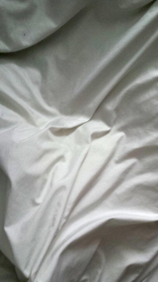 Free stock photo of bed, winter