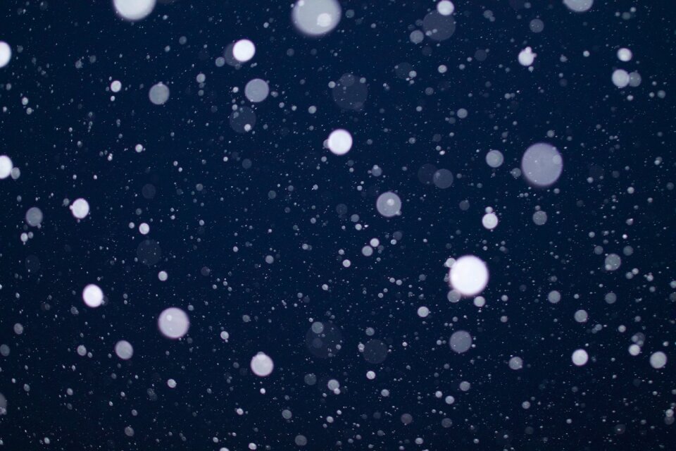 Free stock photo of black, blue, cc