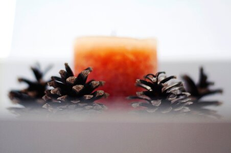 Free stock photo of blur, candle, cosy photo