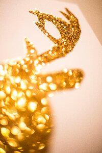 Free stock photo of art, night