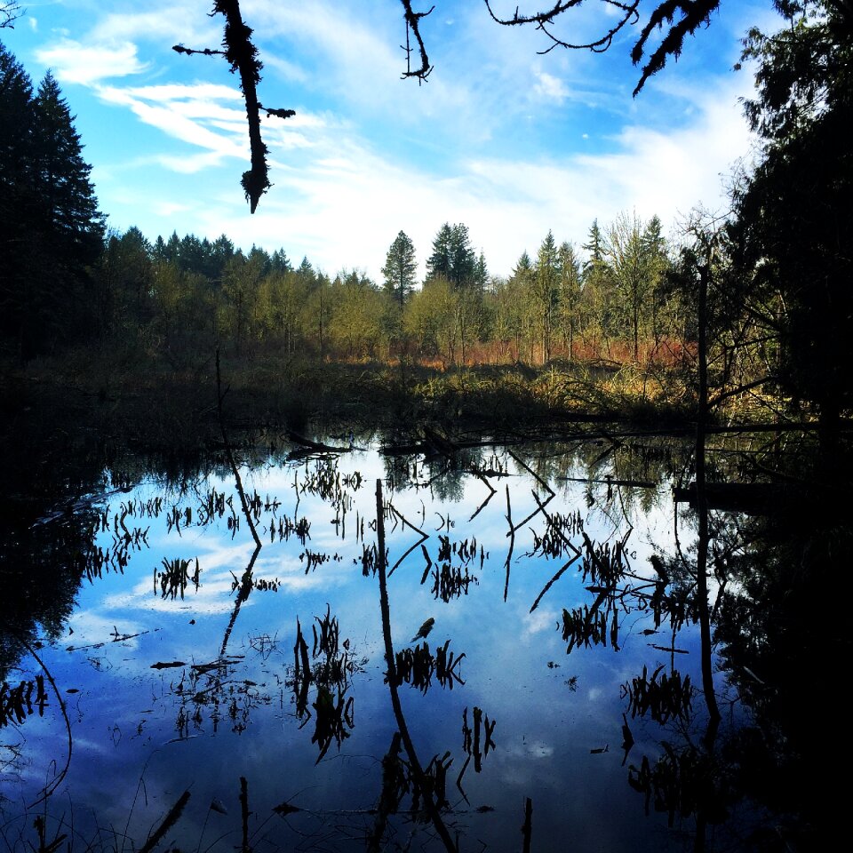 Free stock photo of photo365, photoaday, Portland