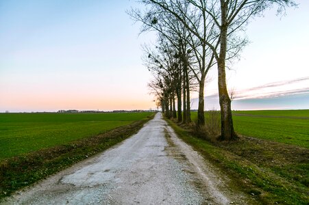 Free stock photo of field, path, road