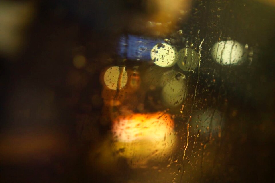 Free stock photo of depth field, dof, drops