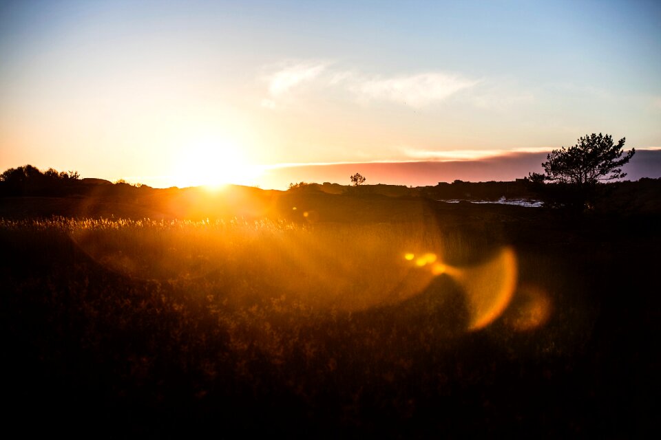 Field during Sunrise