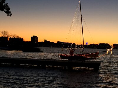 Free stock photo of boston, sail, sailing