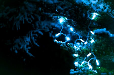 Free stock photo of christmas, christmas tree, light