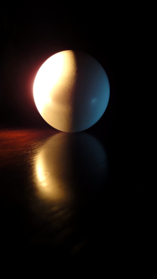 Free stock photo of ball, egg, shape