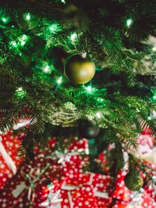 Free stock photo of bauble, christmas, green photo