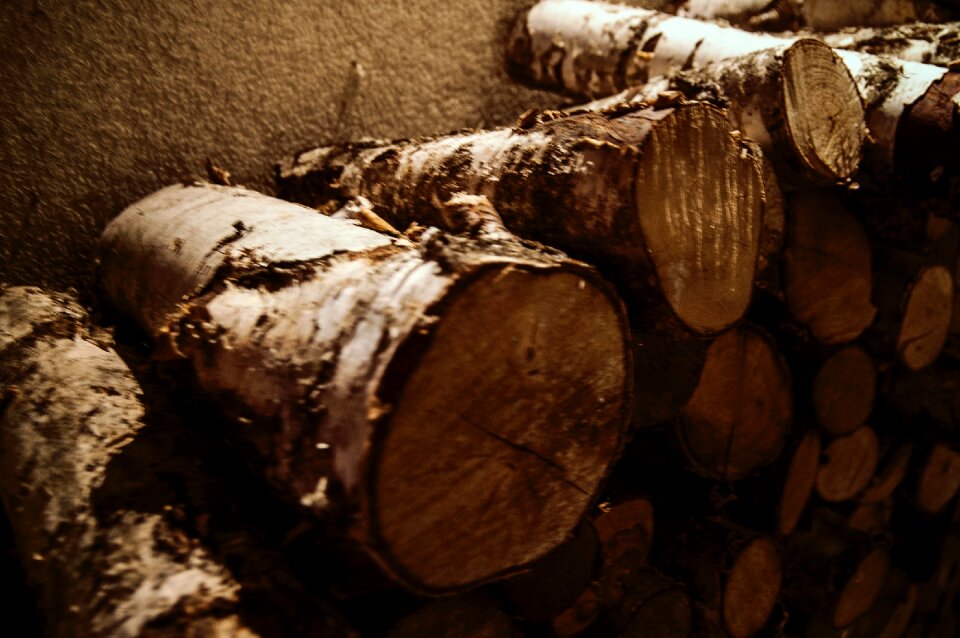 Free stock photo of wood
