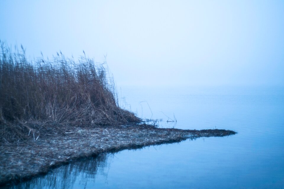 Free stock photo of fog, water
