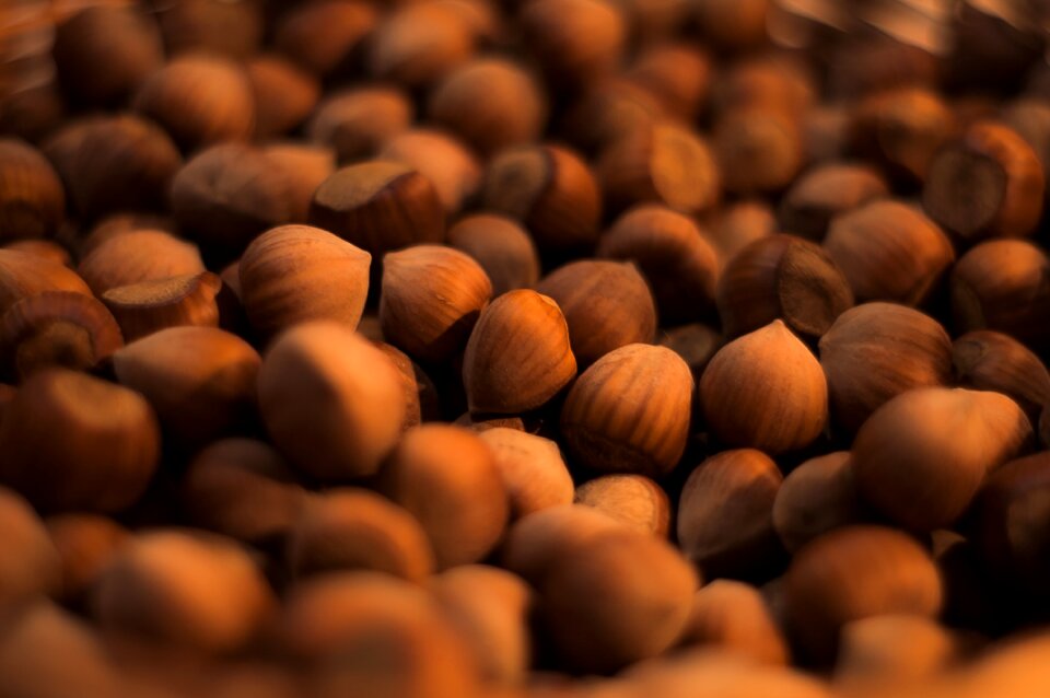 Macro Shot Brown Nuts