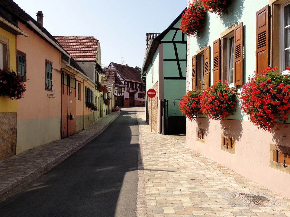 Town buildings flowers photo