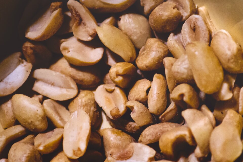 Free stock photo of focus, food, kitchen