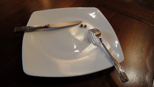 Free stock photo of diet, fork, lunch photo