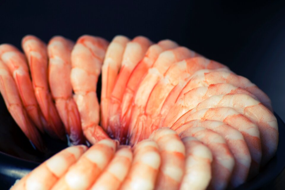 Free stock photo of food, shrimps