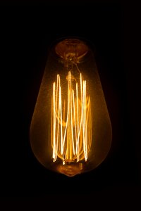 Free stock photo of bulb photo