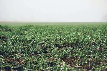 Free stock photo of agriculture, countryside, crop photo