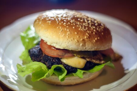 Free stock photo of burger, dinner, homemade