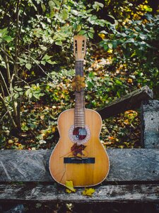 Free stock photo of backyard, guitar, music photo