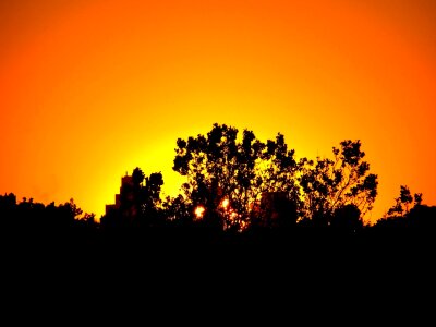 Free stock photo of black, evening, orange photo