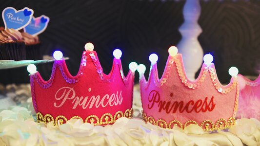 Free stock photo of birthday, princess photo