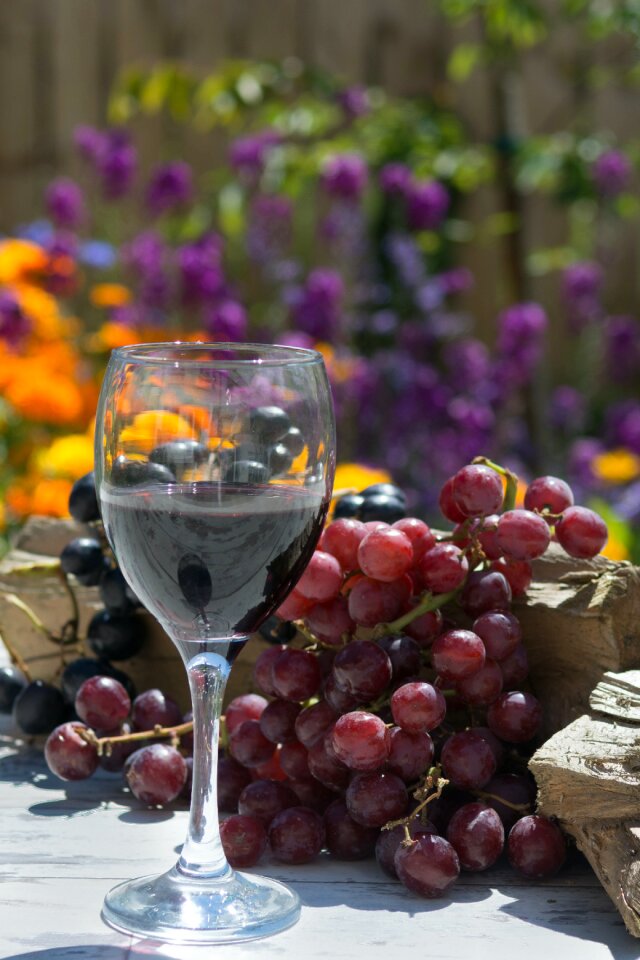 Clear Wine Glass Near Grape Fruit