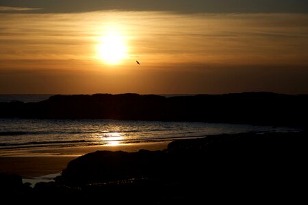 Blue Seashore during Sunset photo
