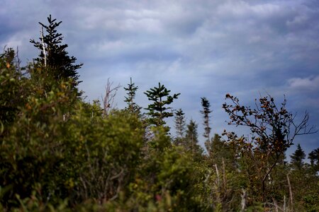 Free stock photo of clouds, nature, sky