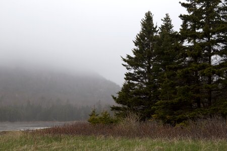 Free stock photo of fog, grass, landscape photo