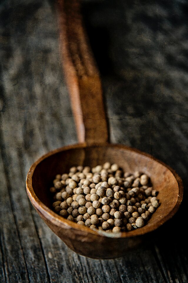 Brown Beans on a Brown Wooden Spoon