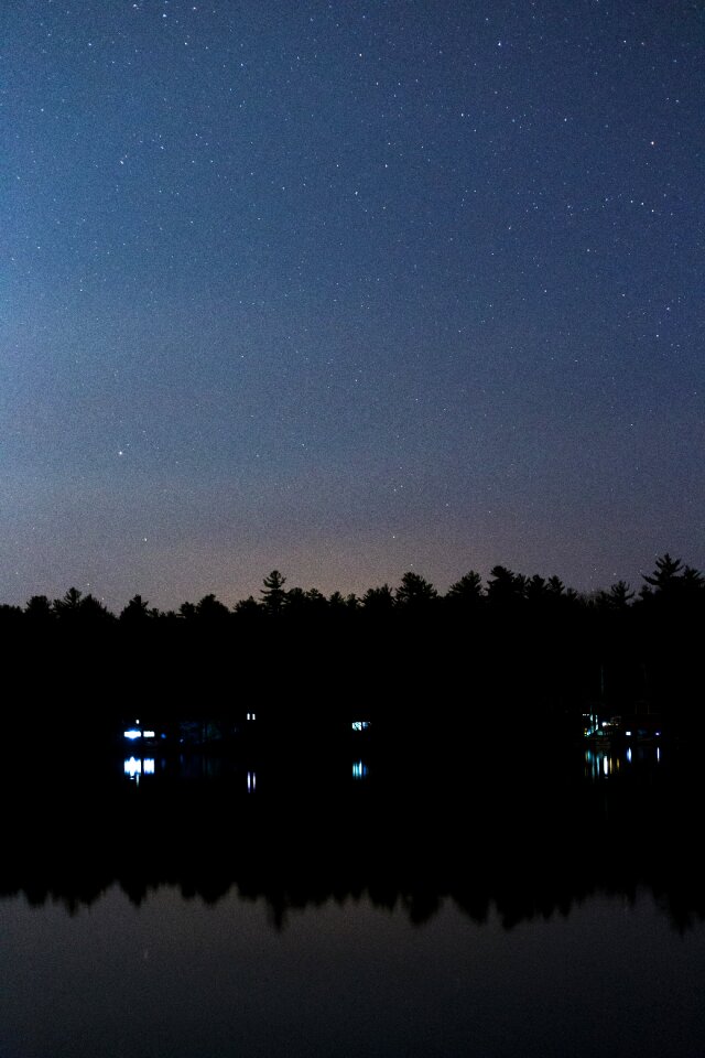 Silhouette of Trees Reflecting on Body of Water Under Starry Night Skies