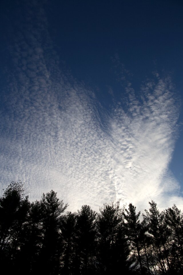 Free stock photo of clouds, nature, sky