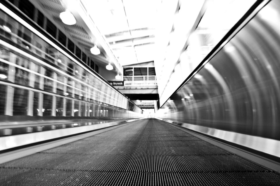 Pathway Grayscale Photo
