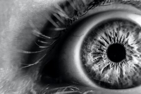 Grayscale Photo of Human Eye photo