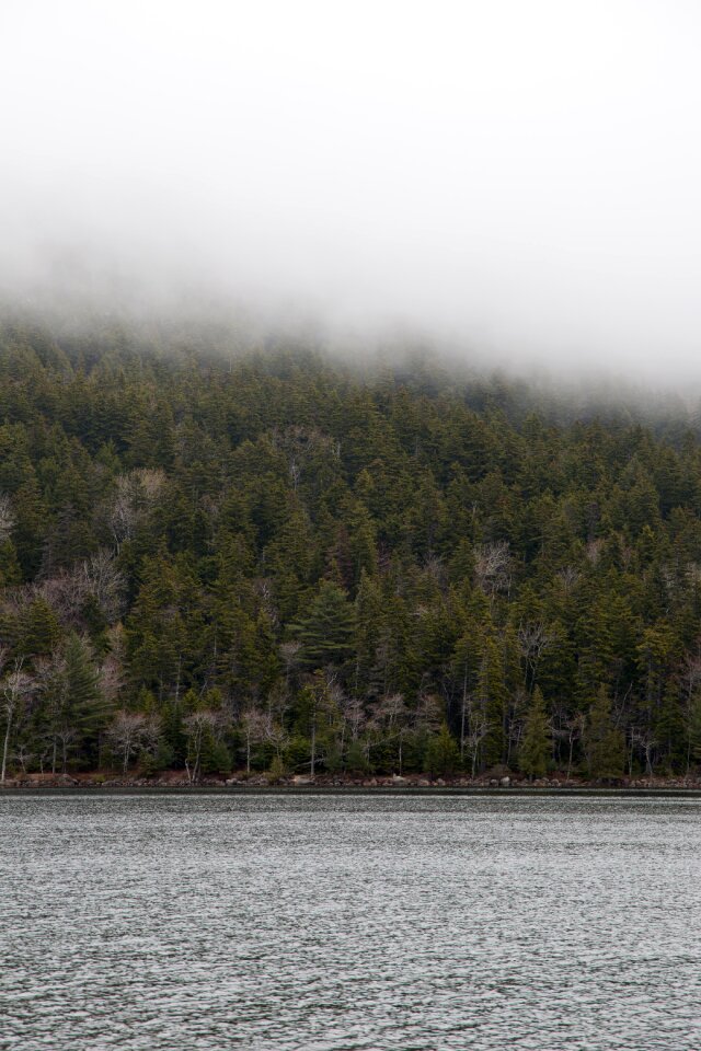 Free stock photo of fog, landscape, nature