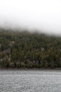 Free stock photo of fog, landscape, nature photo