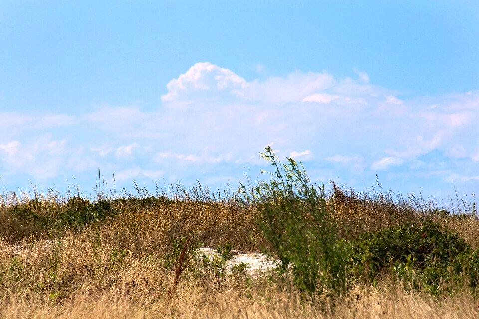 Free stock photo of clouds, grass, landscape
