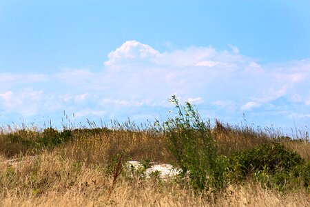 Free stock photo of clouds, grass, landscape